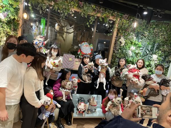 森林小徑精誠店對寵物超友善